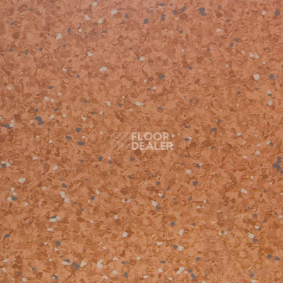 Линолеум Tarkett iQ Aria CARII-662 фото 1 | FLOORDEALER