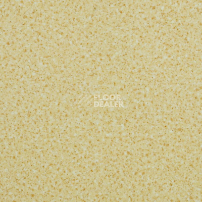 Линолеум Lg Trendy TD12404 фото 1 | FLOORDEALER