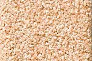 Ковролин Dura Comfort 222 фото  | FLOORDEALER