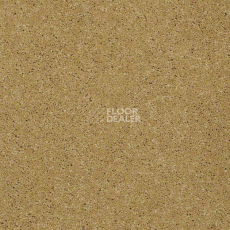 Ковролин Shaw Design Texture Platinum 264 фото 1 | FLOORDEALER