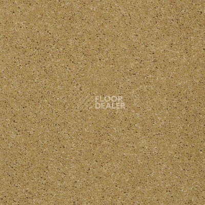 Ковролин Shaw Design Texture Platinum 264 фото 1 | FLOORDEALER