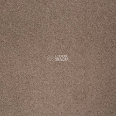 Ковролин Haima Noble 99 фото 1 | FLOORDEALER