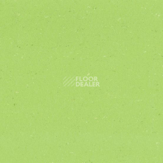 Линолеум Colorette 0132 Spicy Green фото 1 | FLOORDEALER