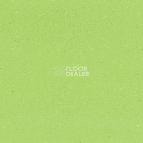 Линолеум Gerflor Colorette 0132 Spicy Green фото 1 | FLOORDEALER