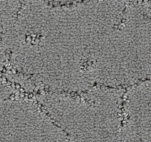 Ковролин Balsan Muse 920 фото 1 | FLOORDEALER