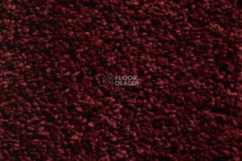 Ковролин Condor Princess 20 фото 1 | FLOORDEALER