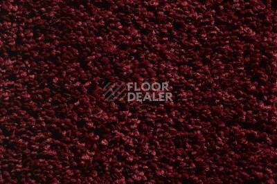 Ковролин Condor Princess 20 фото 1 | FLOORDEALER