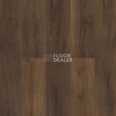 Кварцвиниловые полы Alpine Floor Easy Line 3мм Дуб Казимир ЕСО3-40 фото 1 | FLOORDEALER