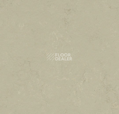 Линолеум Forbo Marmoleum Solid Concrete 3758 shale фото 1 | FLOORDEALER