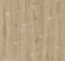 Кварцвиниловые полы Alpine Floor Solo Plus 4мм Дуб Анданте ECO14-1001 фото 1 | FLOORDEALER