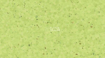 Кварцвиниловые полы  0338_Kiwi фото 1 | FLOORDEALER