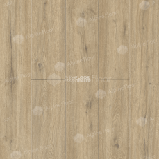 Alpine Floor Solo Plus 4мм Дуб Анданте ECO14-1001 фото 1 | FLOORDEALER