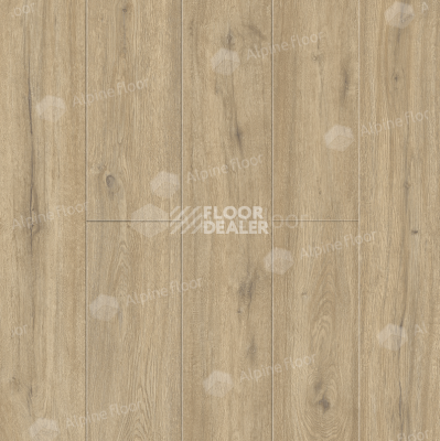 Кварцвиниловые полы Alpine Floor Solo Plus 4мм Дуб Анданте ECO14-1001 фото 1 | FLOORDEALER