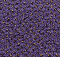 Ковролин Condor Carpets Argus 436 фото 1 | FLOORDEALER