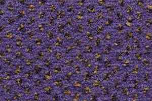 Ковролин Condor Carpets Argus 436 фото  | FLOORDEALER