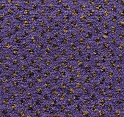 Ковролин Condor Carpets Argus 436 фото 1 | FLOORDEALER