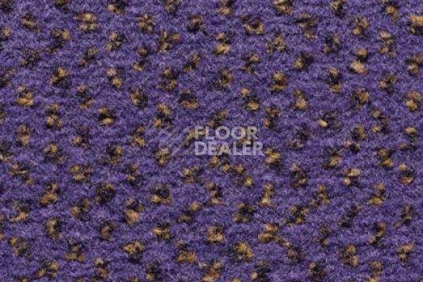 Ковролин CONDOR Carpets Argus 436 фото 1 | FLOORDEALER