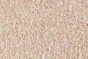 Ковролин AW Bellisima 33 фото  | FLOORDEALER