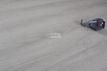 Evofloor Optima Click 4.2мм Дуб Серебряный фото 3 | FLOORDEALER