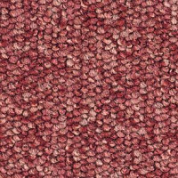 Ковролин Balsan Centaure 2000 Centaure 594 фото 1 | FLOORDEALER