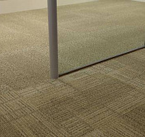 Interface Reprise Coll - Restore