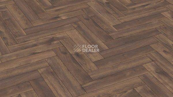 Ламинат Terhurne Herringbone Edition 10мм Y08 Дуб Кабинный фото 1 | FLOORDEALER