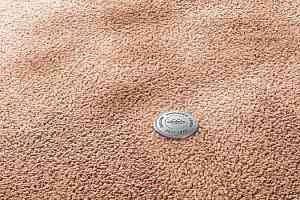 Ковролин Vorwerk Superior 1067 Mira Vorwerk 1n53 фото  | FLOORDEALER