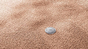 Vorwerk Superior 1067 Mira Vorwerk 1n53 фото 1 | FLOORDEALER