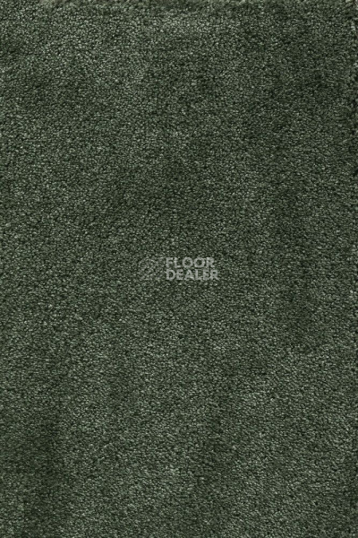 Ковролин AW Masquerade Fedone 24 фото 1 | FLOORDEALER