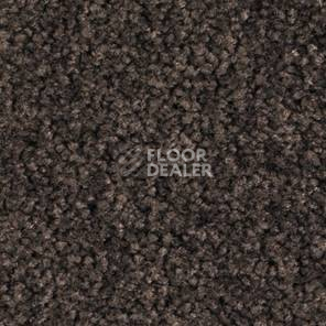 Ковролин Balsan Bolero roll 790 фото 1 | FLOORDEALER