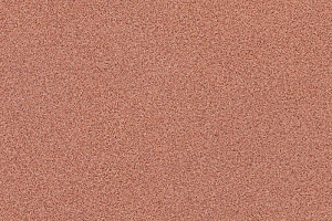 Линолеум Novoflor Extra Comfort 2015-8 фото  | FLOORDEALER