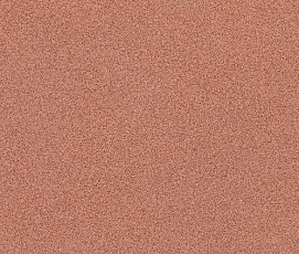 Линолеум Novoflor Extra Comfort 2015-8 фото 1 | FLOORDEALER