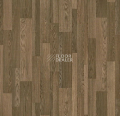Линолеум Forbo SureStep Wood 18282 steamed multisize oak фото 1 | FLOORDEALER