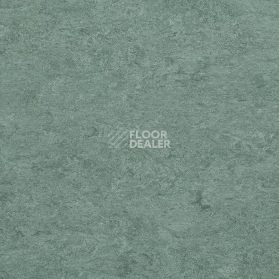 Линолеум Marmorette DLW 2.5mm 0099 Grey Turquoise фото 1 | FLOORDEALER