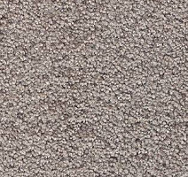 Ковролин AW Tendresse 49 фото 1 | FLOORDEALER