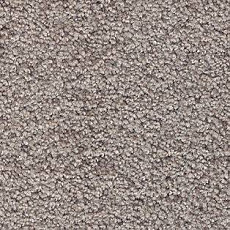 Ковролин AW Tendresse 49 фото 1 | FLOORDEALER