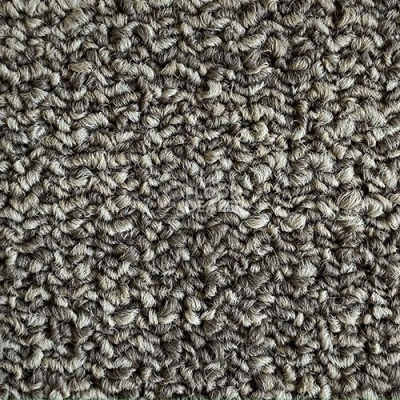 Ковровая плитка Rocky 300306 фото 1 | FLOORDEALER