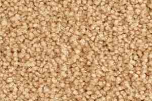 Ковролин Balsan Bolero roll 440 фото  | FLOORDEALER