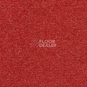 Ковролин Radici Montecarlo 62 фото 1 | FLOORDEALER