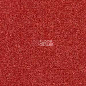 Ковролин Radici Montecarlo 62 фото 1 | FLOORDEALER