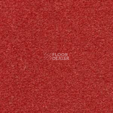 Ковролин Radici Montecarlo 62 фото 1 | FLOORDEALER