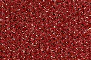 Ковролин Balta ITC Fortesse Fortesse 17 фото  | FLOORDEALER