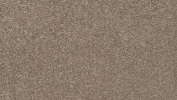 Ковролин Vorwerk Passion 1004 Vorwerk 7f84 фото 1 | FLOORDEALER