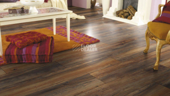 Kronotex Exquisit Plus d3570 Дуб Портовый фото 3 | FLOORDEALER