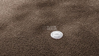 Ковролин Vorwerk Superior 1067 Mira Vorwerk 7g78 фото 1 | FLOORDEALER