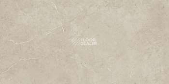 Roots 0.55 камень (986*493) TRIANA 46233CD фото 2 | FLOORDEALER