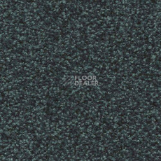 Ковровая плитка Forbo Sharepoint 1155 фото 1 | FLOORDEALER