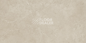 Moduleo Roots 0.55 камень (986*493) TRIANA 46233CD фото 2 | FLOORDEALER