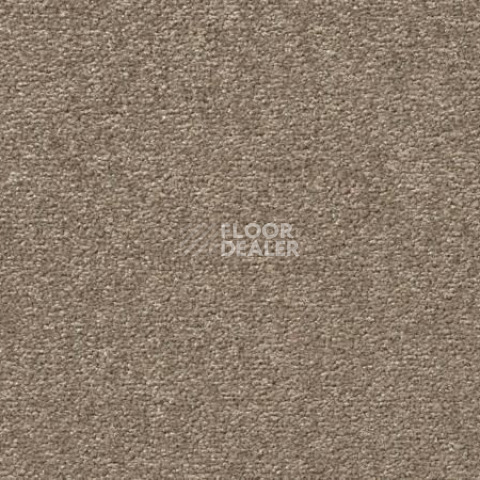 Ковролин Vorwerk Passion 1004 Vorwerk 7f84 фото 1 | FLOORDEALER