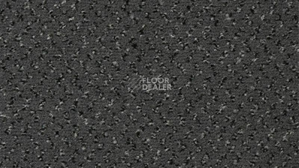 Ковролин Vorwerk Passion 1047 Vorwerk 5x52 фото 1 | FLOORDEALER